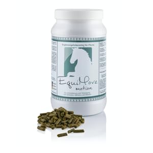 Hyaluronsäure + Glucosamin + MSM + Grünlippmsuchel