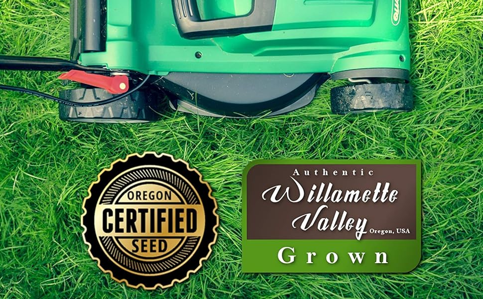 Kentucky 31 K31 Tall Fescue Grass Seed by Eretz CHOOSE