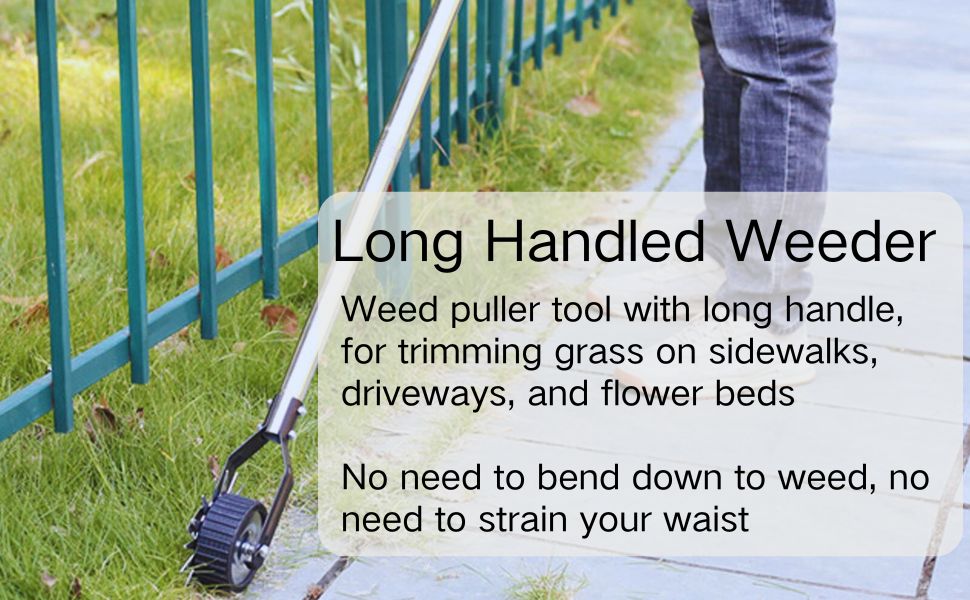 Manual Lawn Edger, Stainless Steel Sidewalk Edger with Handle for Yard Garden Landscape