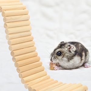 Lケージ マウス・ラット・ハムスター　飼育ケージ マウス・ラット・ハムスター （大）ケージ 飼育ケージ