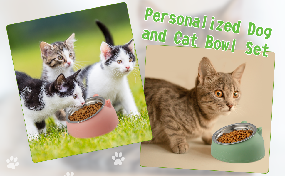 Stainless Steel Food and Water Bowl Perfect for Small, Medium, Puppy