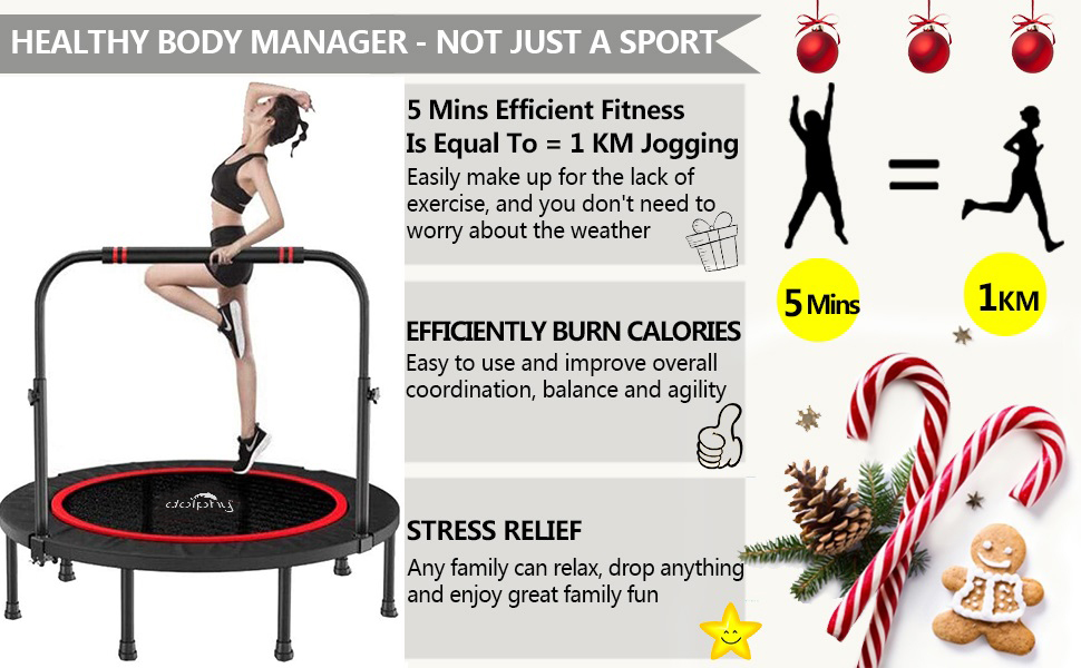 Dolphy Trampoline with Adjustable Handrail for kids indoor outdoor adults Exercise fitness