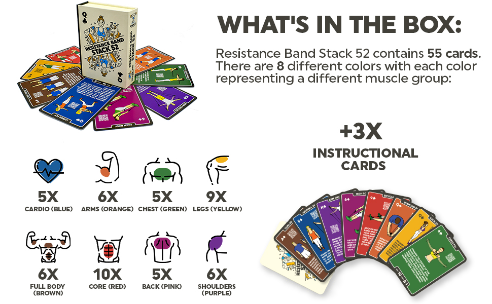 cardio back chest arms legs thighs butt glutes biceps triceps core abs instructions cards