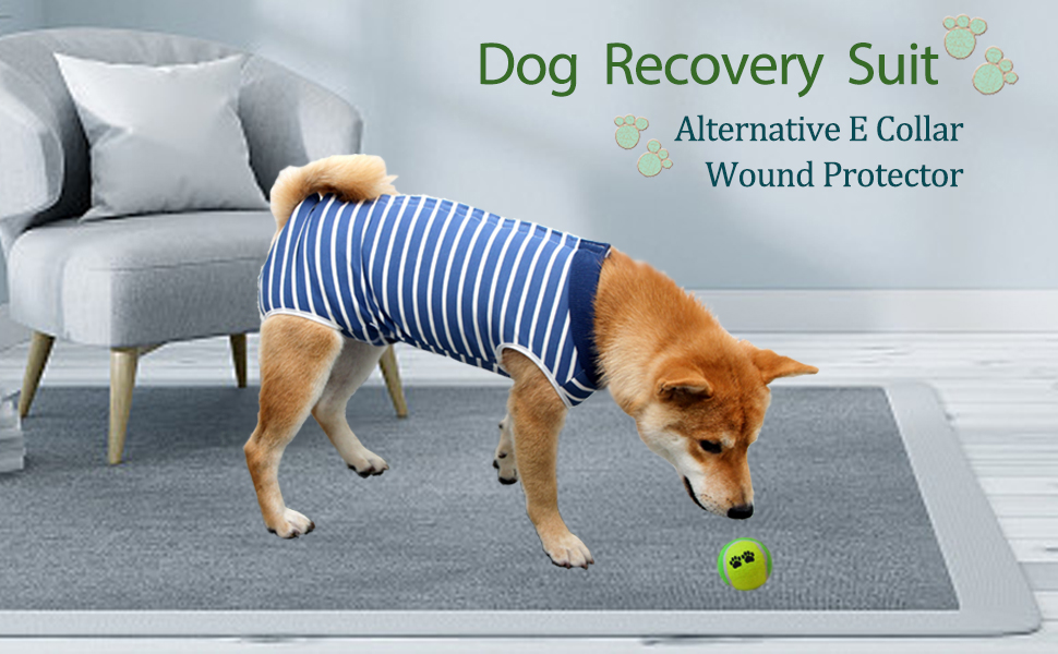 kzrfojy Dog Recovery Suit After Surgery Onesie Breathable