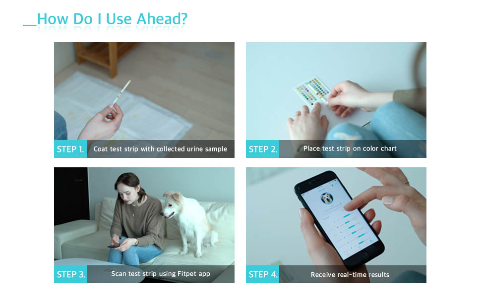 FitpetAhead Nonabsorbent Cat LitterSpecial NonAbsorbing