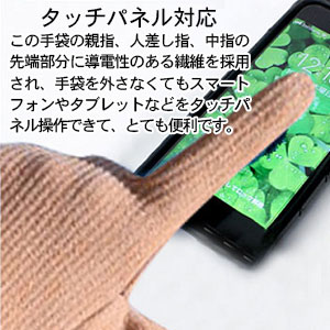 手袋 レディース 冬用