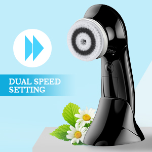 brush set