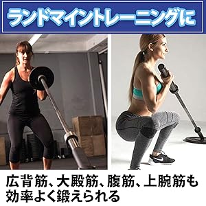 ランドマイン グラウンドエフェクト（プレート用）アメリカンバーベル ランドマイン グラウンドエフェクト（プレート用）アメリカン