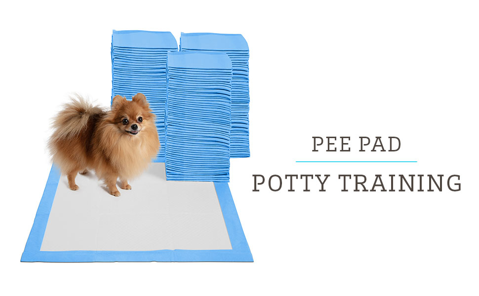 Pee Pad Potty Training
