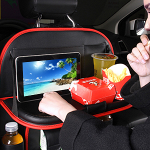 Backseat Organizer