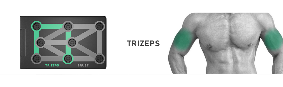 Triceps