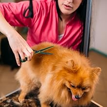 Small manufacture image 8