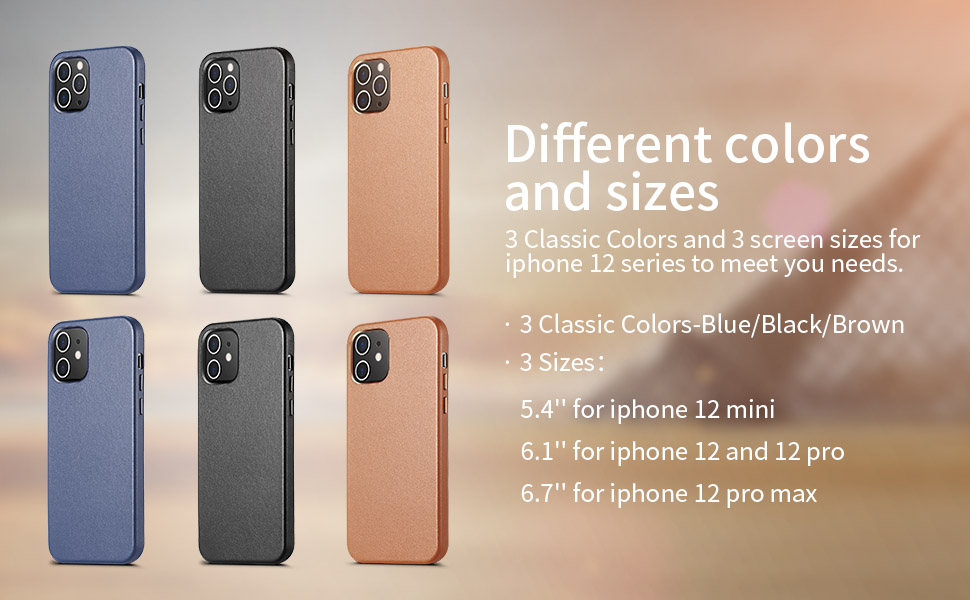 iphone 12 case series
