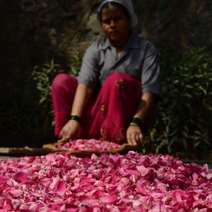 Nyassa Handmade Soap