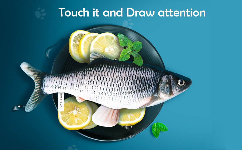 hadefa Mini Mice & Interactive Floppy Fish Cat Toy USB