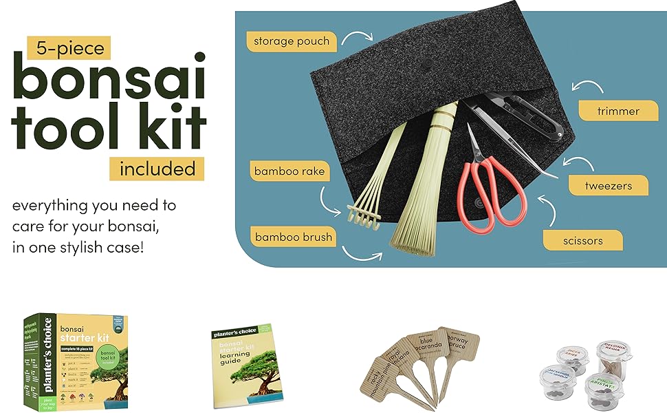 Bonsai Starter Kit (Bonsai Kit) Patio, Lawn & Garden