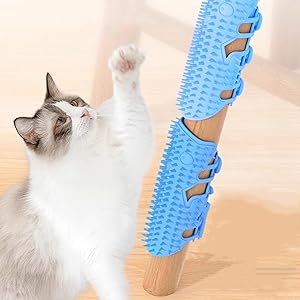猫　毛づくろい 飼い主が「撮らずにはいられなかった…」毛づくろいする猫の姿に