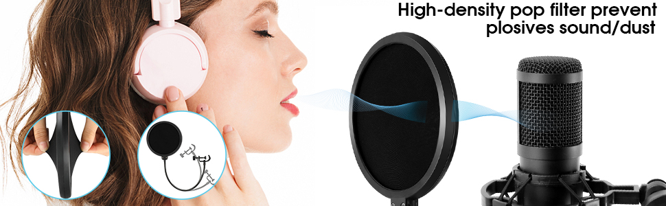 pop filter