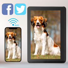 10inch WiFi Digital Photo Frame