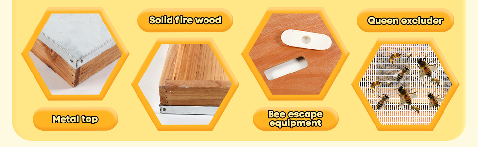 Amazon.com: Colingmill 6 Pcs Beehive Parts Kit for 10 Frame