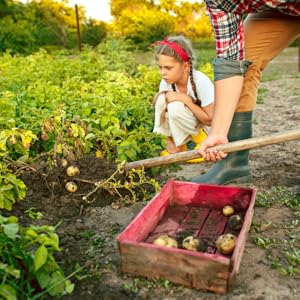 Small manufacture image 3