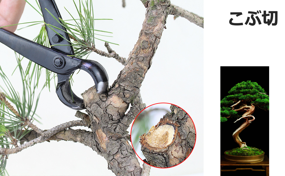 Amazon Co Jp Salinr 園芸用はさみ 盆栽はさみ 剪定鋏 210mm 盆栽カッター 凹面カッター丸刃カッター コブ切鋏 盆栽用 亜鉛合金 人間工学 専門ブランチカッター 盆栽カッター 園芸専用 庭木 盆栽剪定 210mm ホーム キッチン