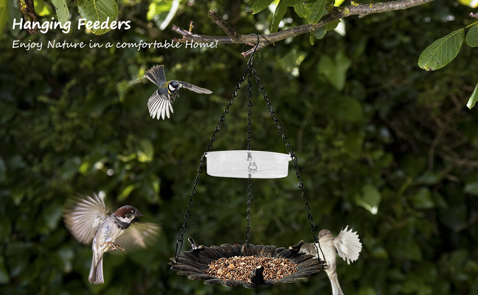 bird feeder tray