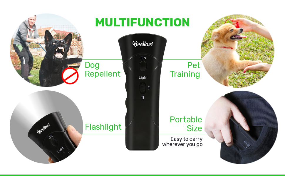 Dog Training Device