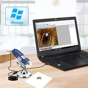 Small manufacture image 1