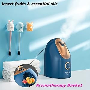 facial steamer