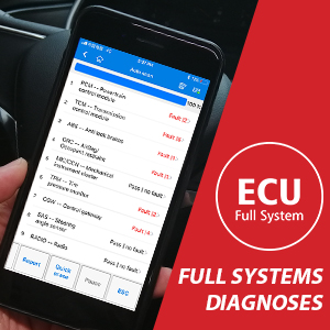SYSTEM