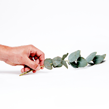 Aftersun Körperbutter Naturkosmetik Biologisch Ohne Zusätze Ohne Chemie Kinder Empfindliche Haut