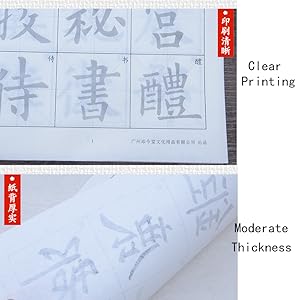 Amazon.com: Tianjintang Chinese Calligraphy Ink Writing Sumi