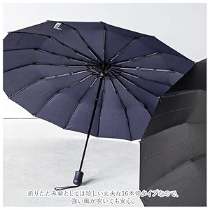 Amazon.co.jp: Waterfront 折りたたみ傘 雨傘 16RIB Folding