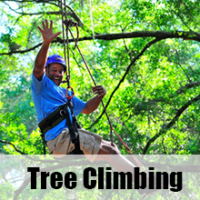 tree climbing