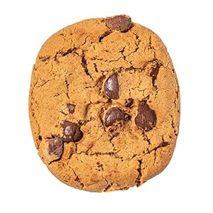 healthy vegan gluten free chocolate chip cookies