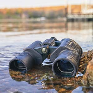 Bushnell H2O Roof Prism Binoculars in standing water