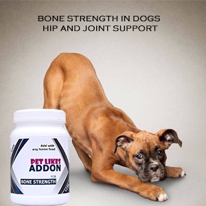 Bone and Strength