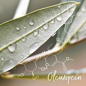 Oleuropein