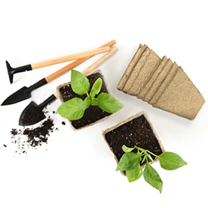  Seedling Starter Trays