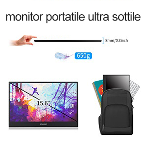 portable monitor