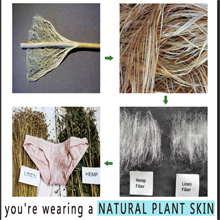 leak,proof,discharges,spotting,sanitary,wear,pads,tampons,protection,Absorbent,girls,gym,yoga ,sport