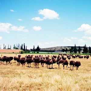 Granja de calle, África, viaje de carretera