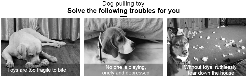 dog tug toy
