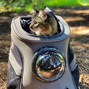 cat backpack
