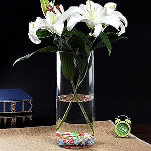 美品 フラワーショップ購入 フラワーベース ガラス 口径20cm 高さ80cm 楽天市場】花瓶 ガラス フラワーベース 大きい 円柱 ガラス花瓶