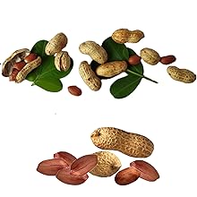 Small manufacture image 8