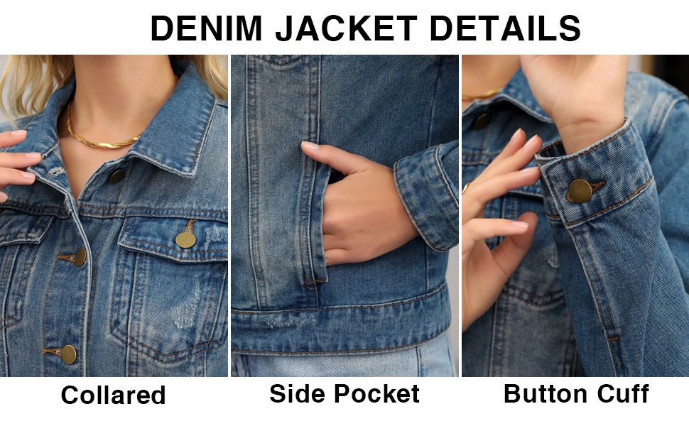 Standard Image Header With Text