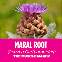 Small manufacture image 7