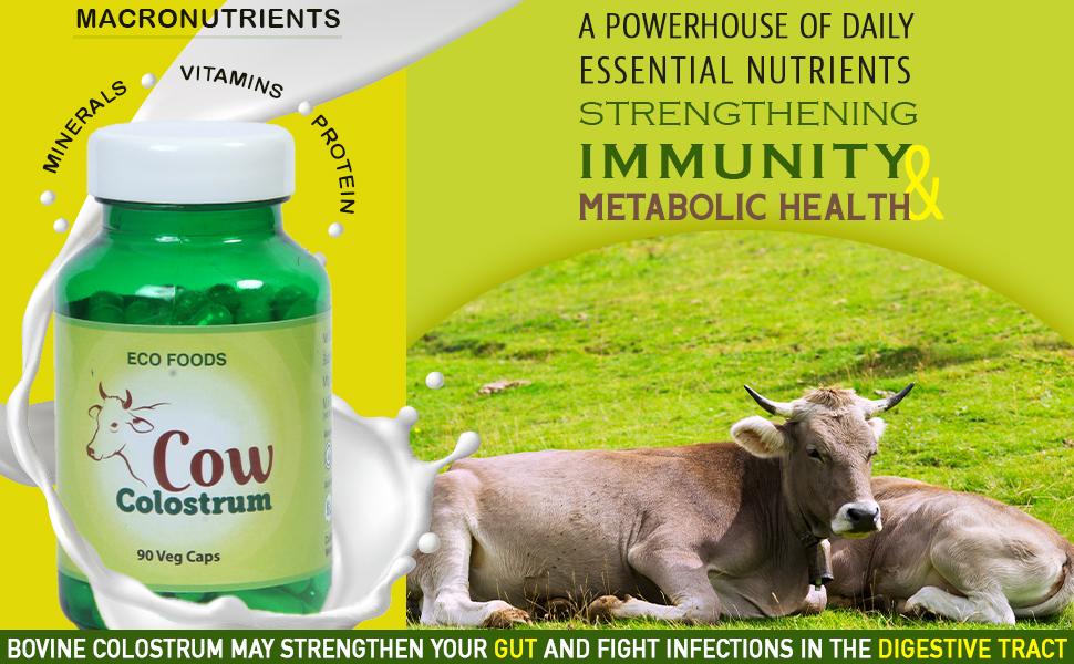 Buy Paithan Eco Foods Cow Colostrum Herbal Capsules 300mg 90 Veg Caps Natural Vitamins